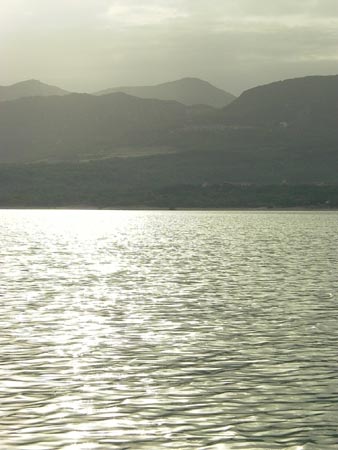 L1000031
