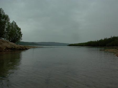 L1000041