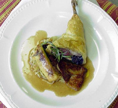 pigeon